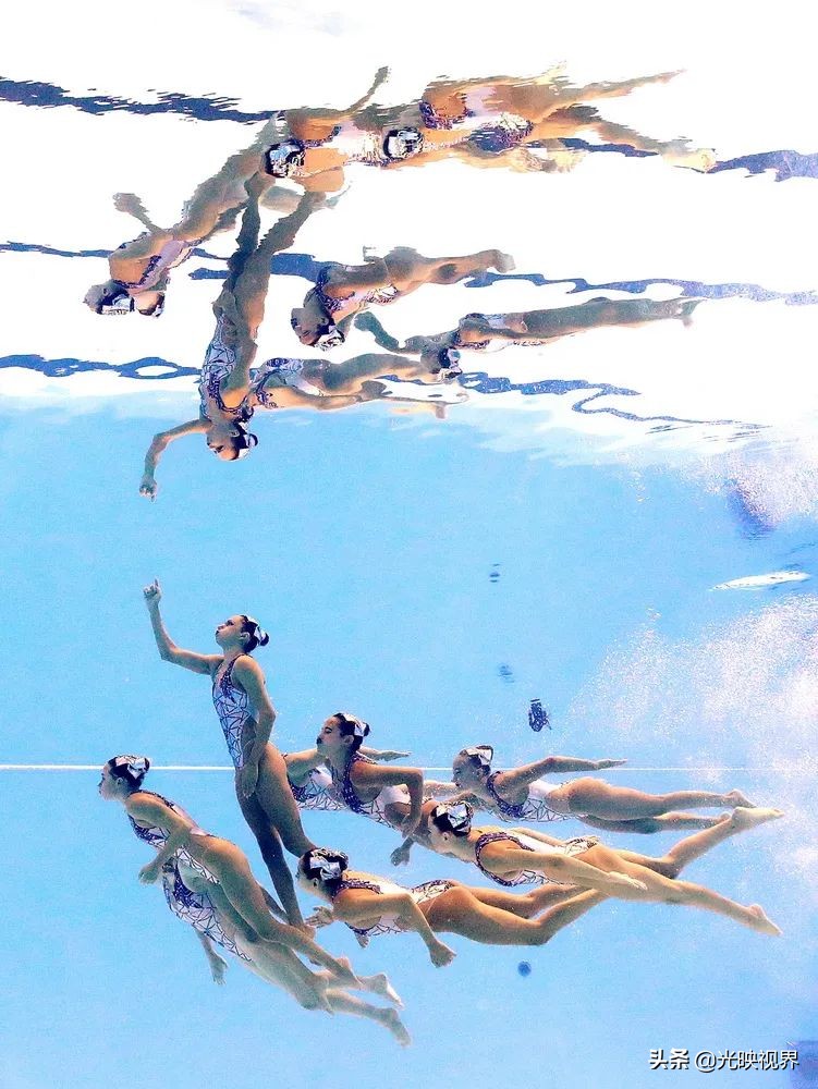 2022年度的ipa摄影大赛获奖作品,2020ippa摄影大赛奖项公布