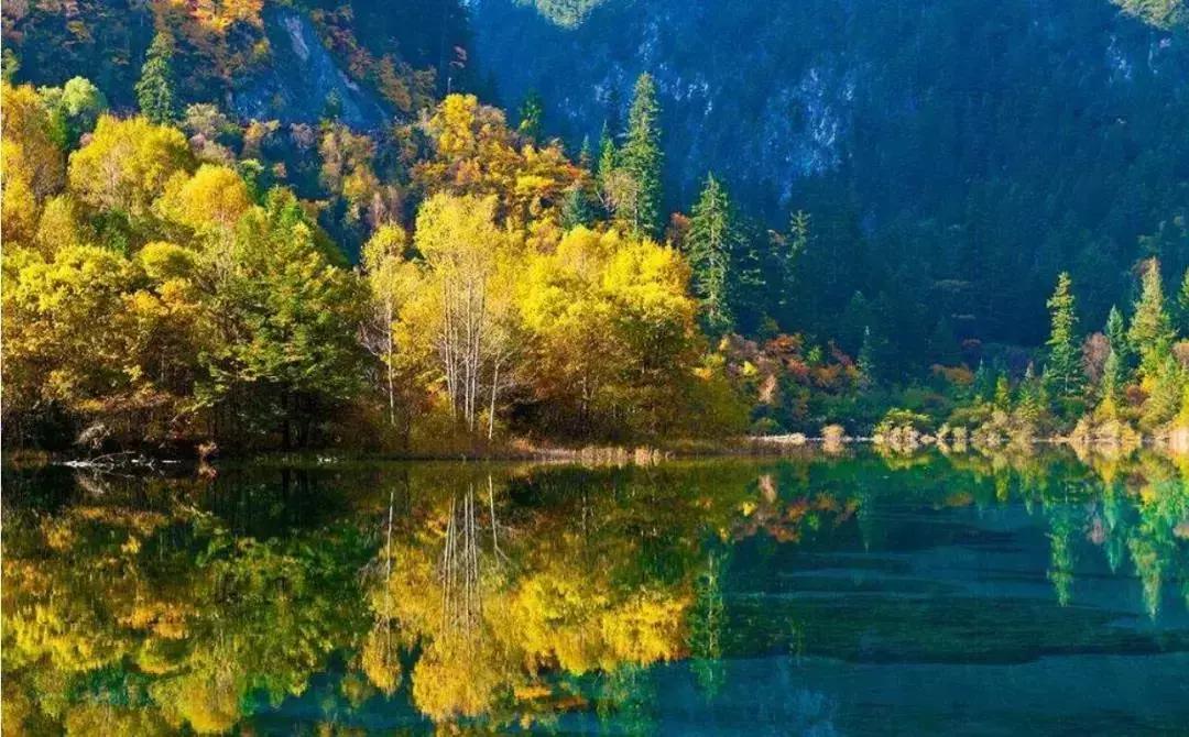 有一种努力叫靠自己视频,有一种努力叫靠自己经典语录