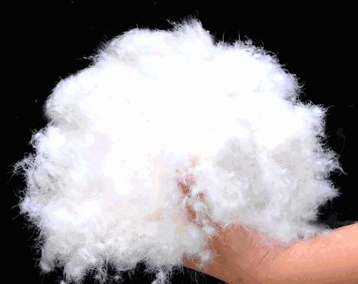 广东的羽绒服怎么穿保暖,在广州冬天穿什么羽绒服最合适