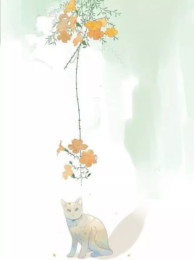 美邦祈富美术颜料是丙烯吗,美邦祈富丙烯颜料怎么样