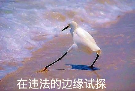 如何解决动漫打码的问题,为什么动漫大多数打码