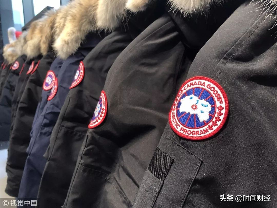 雅诗兰黛侵权事件,雅诗兰黛考拉事件