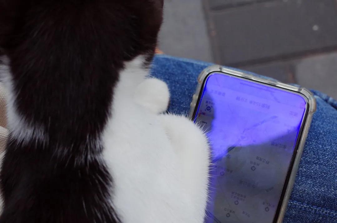 我不许你只是路过上海虹口