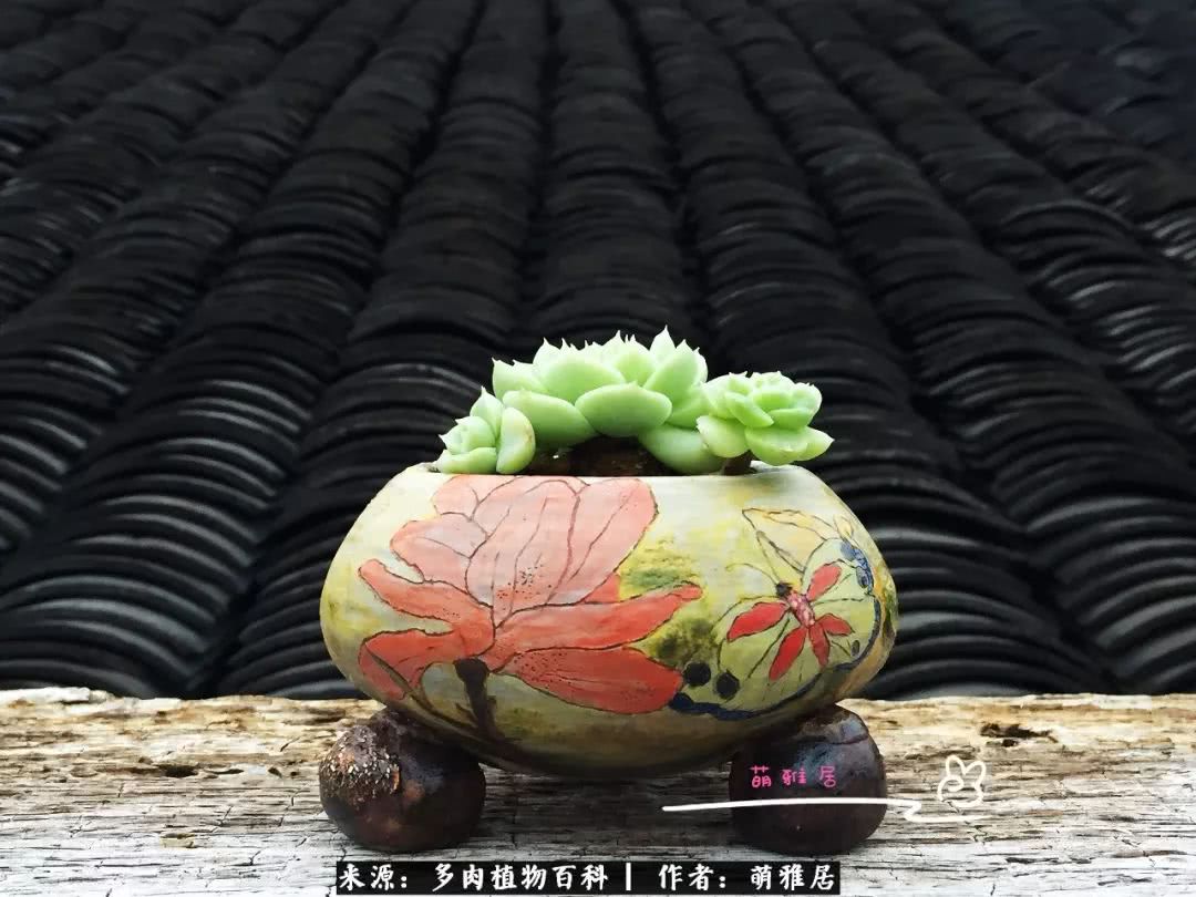 鍒濆啲鏆栭槼鍥寸倝鐓尪,鍐洦鍝佽尪