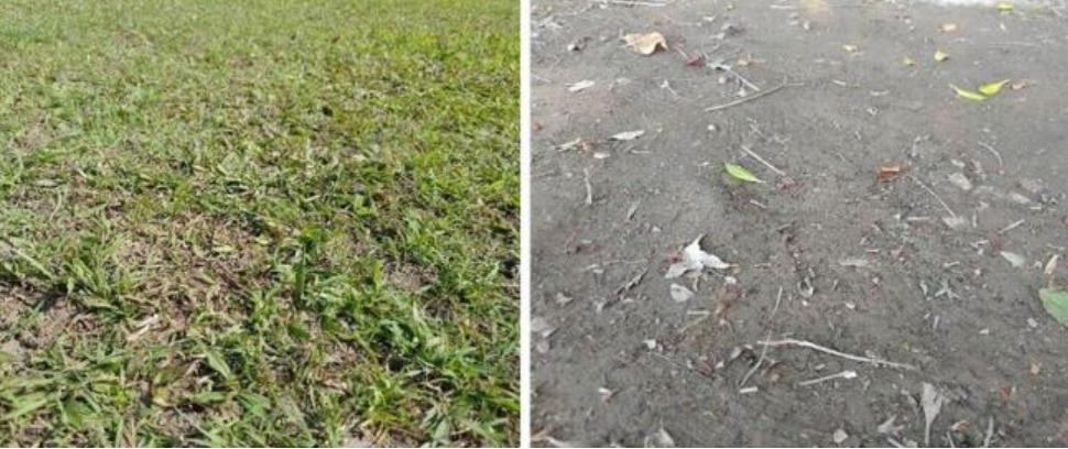 什么纹路鞋底防滑效果最好,怎么选防滑跑鞋鞋底花纹