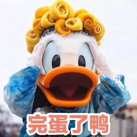 退税骗局如何揭穿,网红退税骗局