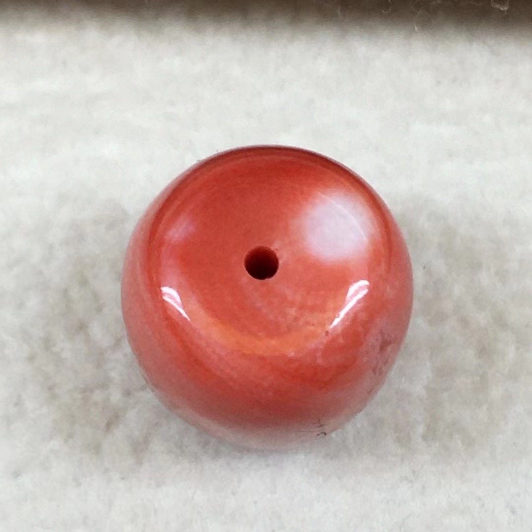 红珊瑚怎么辨别图片,红珊瑚怎么区分品种