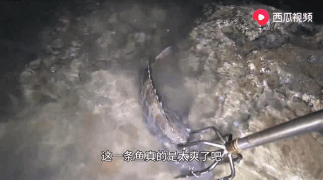 西瓜视频赶海活动,西瓜视频赶海