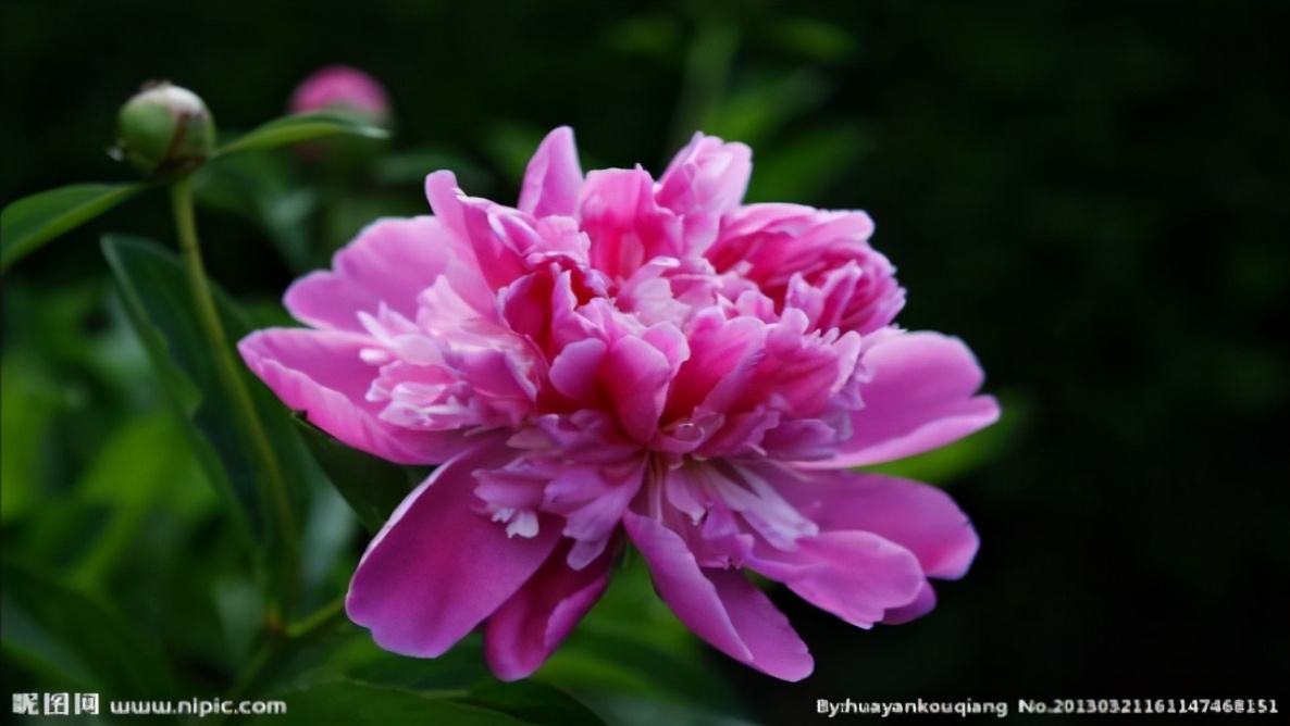 回雁峰賦（以「色峙晴空，回翔此際」為韻）