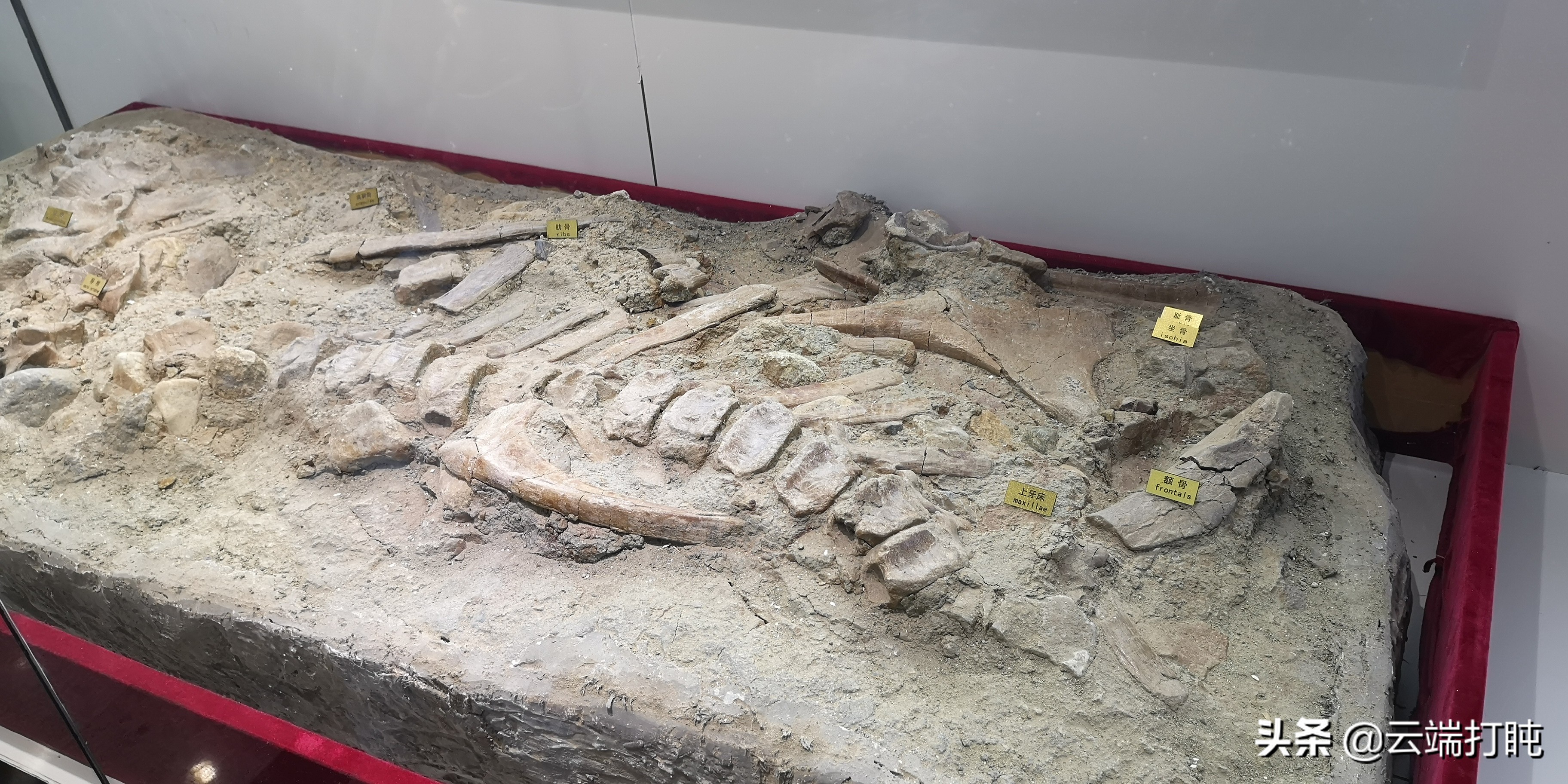 东北三省自驾大环线详细路线图,东北大环线自驾游记