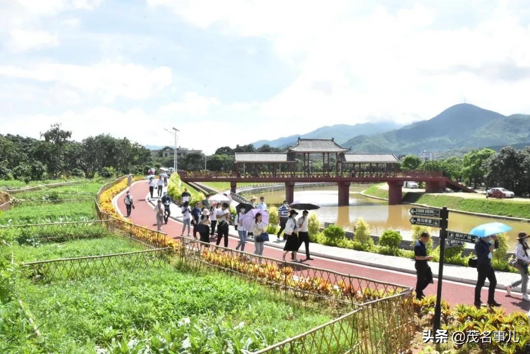 茂名十大美丽乡村电白,茂名电白乡村风光