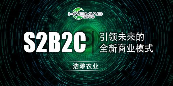 s2b2c详细解析,一文带你看懂s2b2c