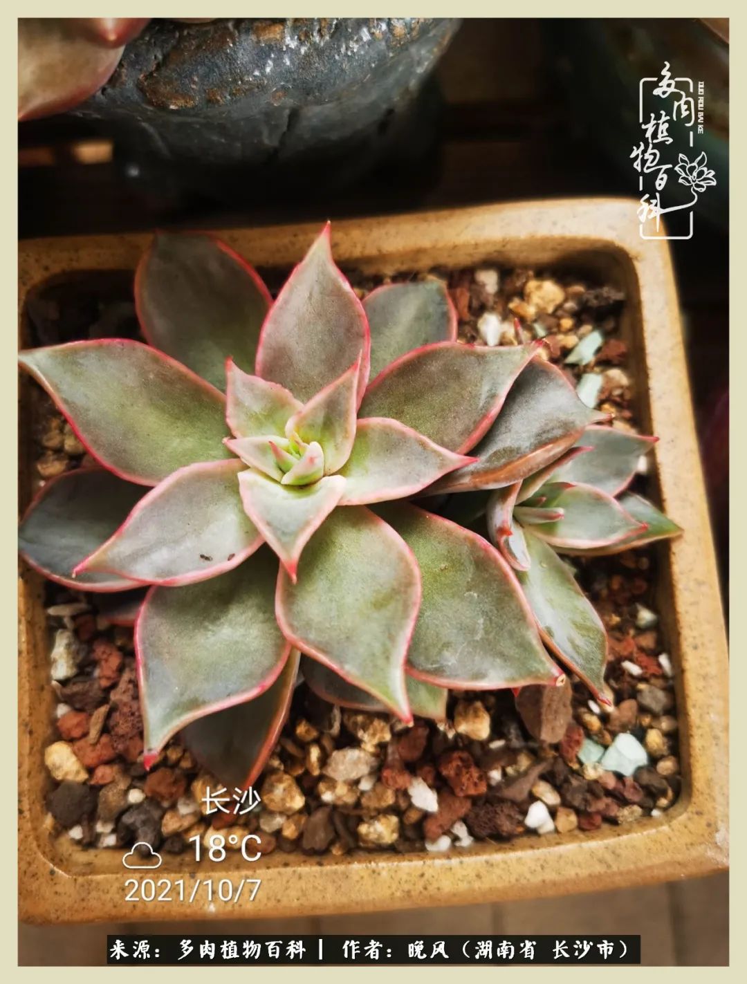 摇身一变成了奶爸,摇身一变成为打工人