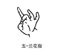 自然手语学习教程,自然手语和标准手语