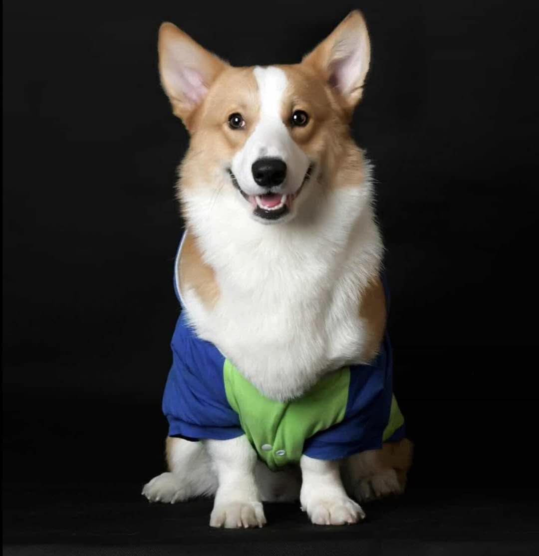 优衣库创新分析,优衣库为什么能超越中国服装品牌