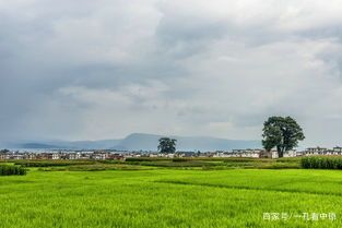 副县长变网络直播,镇长直播卖滞销农产品双黄蛋