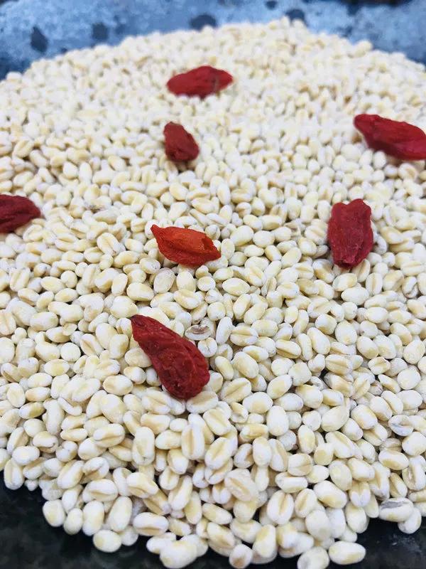 糯小麦怎么看质量,糯小麦种植技术