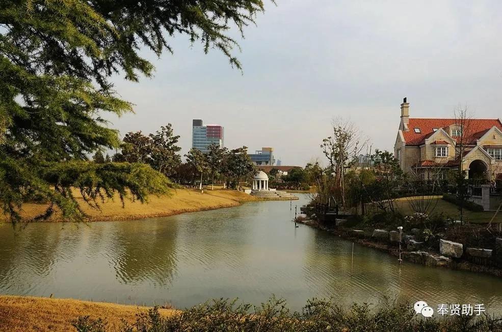 奉贤区南桥镇旅游景点,上海奉贤景点推荐一日游最佳路线