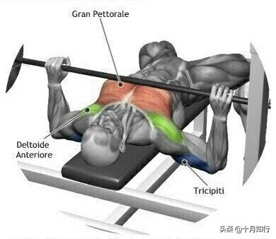把胸肌练宽,把胸肌练大健身房动作