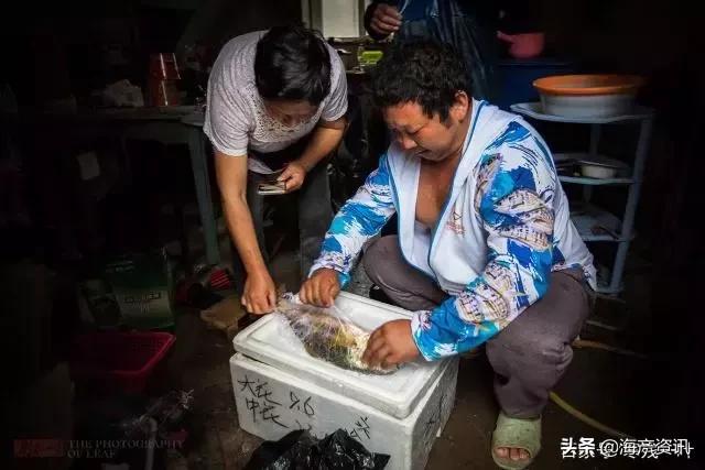 4.8斤大黄鱼售出2万多元是真的吗,温州8.7斤重野生大黄鱼卖了68800元