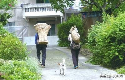 广元水电五局简介,广元宝轮水电五局生活区