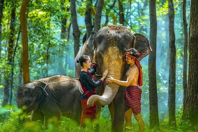 版纳泼水节安排时间表,版纳泼水节的正确打开方式