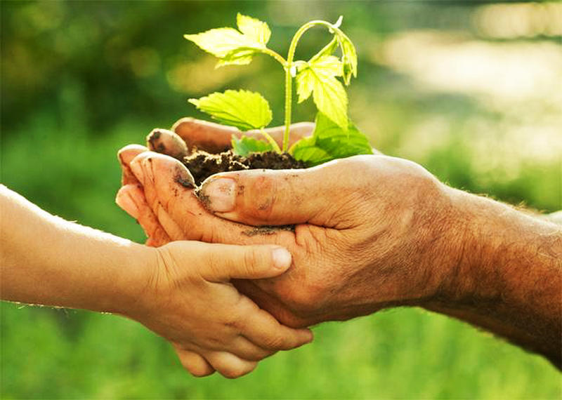 人的善心就是最好的风水,人的善心善行必得福报