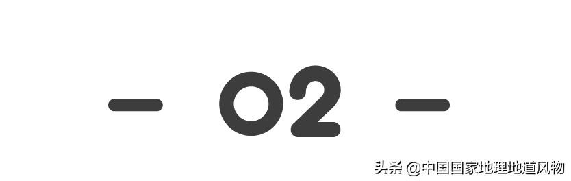 中国人什么时候开始嗑瓜子的,中国人什么年代嗑瓜子