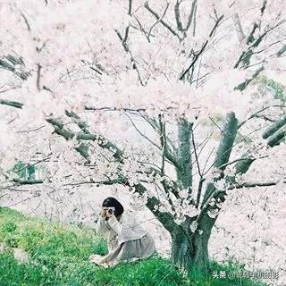 朋友圈九宫格怎么选择,朋友圈不需九宫格怎么操作