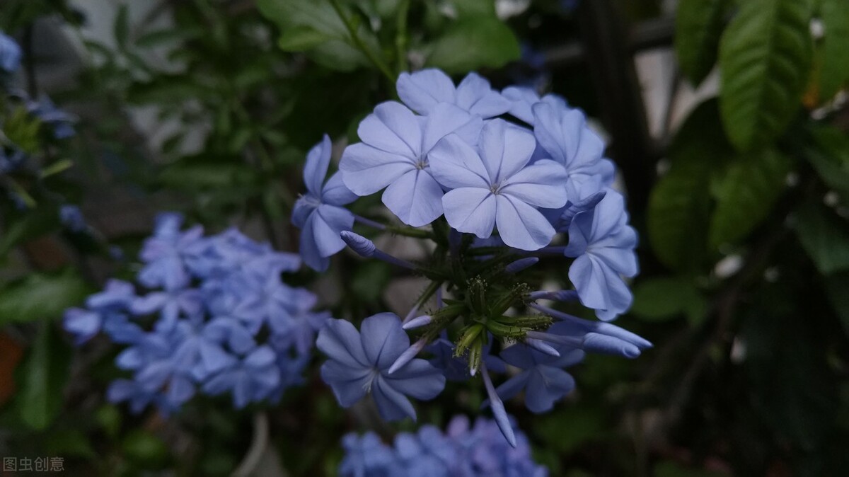 平价的“爆花小能手”：第一性价比高，第六是调色担当