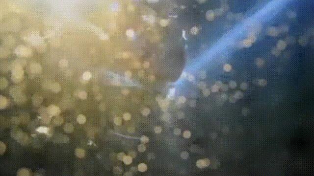 南海惊现神秘古沉船 (中国在南海发现的沉船)