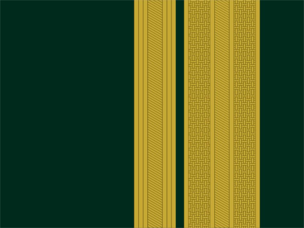 各国军衔标识葡萄牙,西班牙军衔等级一览表