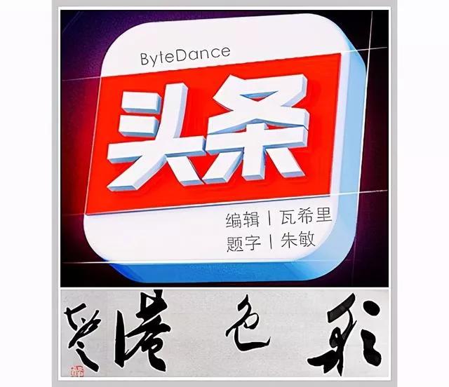 养了十来年的巴西龟死了,巴西龟假性死亡