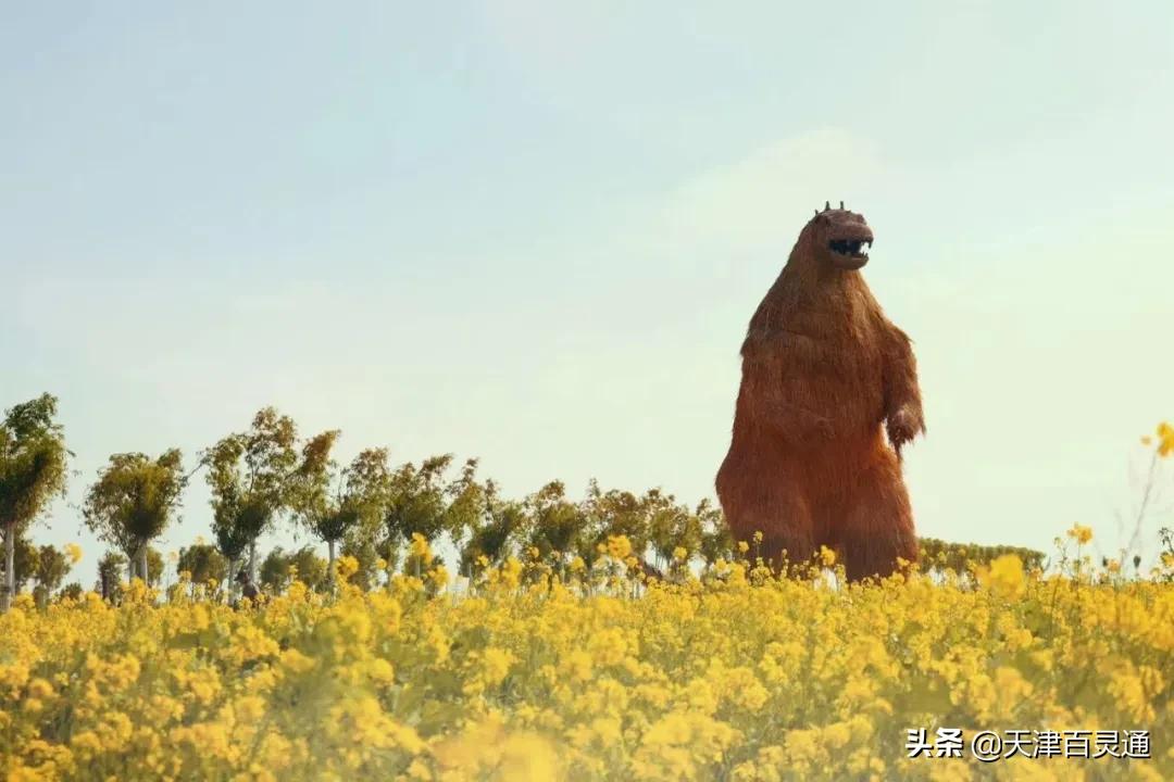 天津油菜花什么时候开,天津周边看油菜花最好的地方
