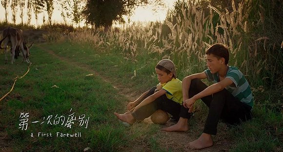 13届first青年电影展在哪举办的,first青年电影展15届颁奖