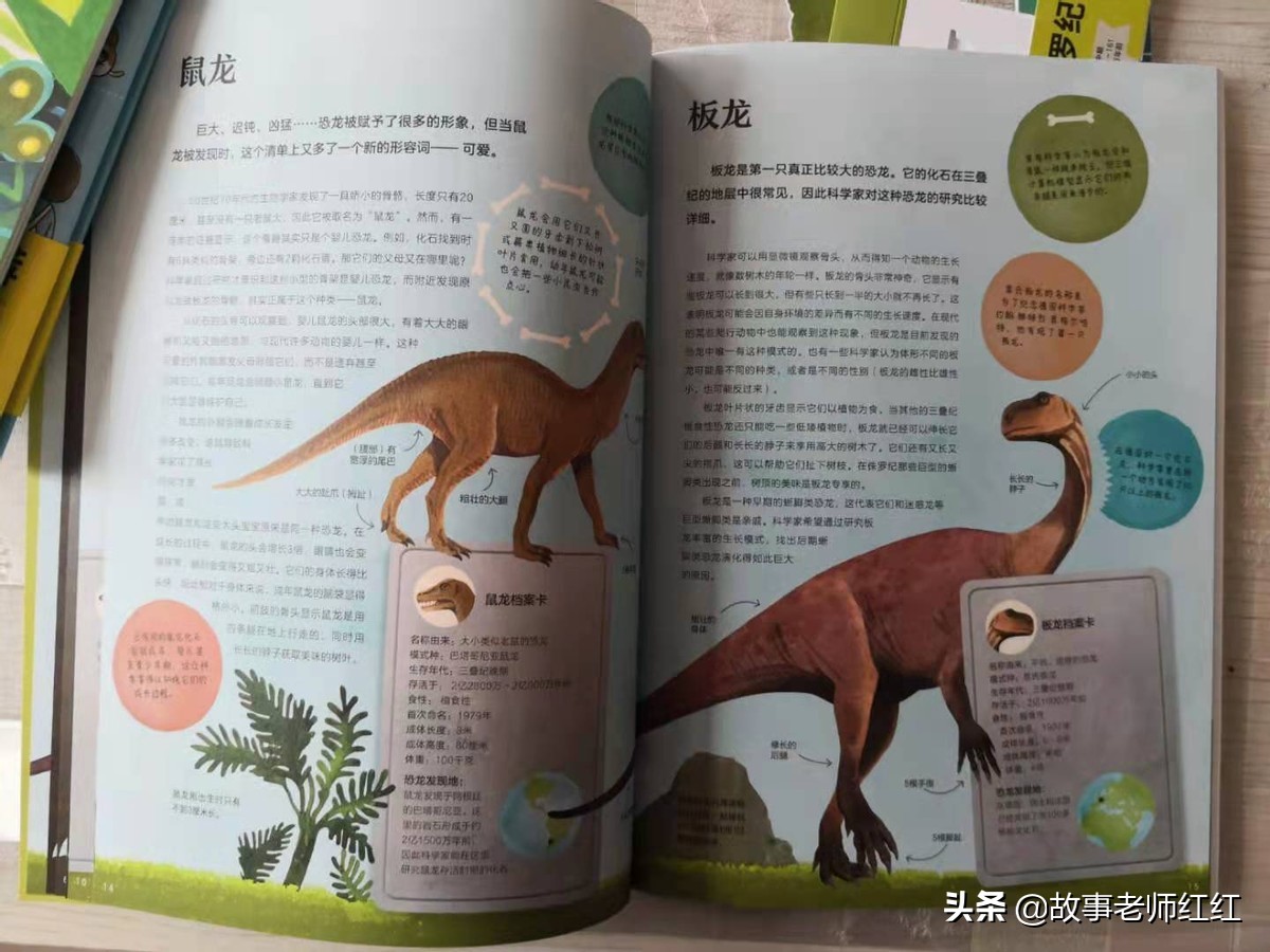 大概了解一下恐龙的一些常识,恐龙是不是能让大家很喜欢恐龙