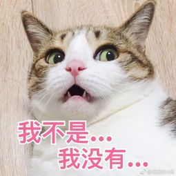 科创板细分成长龙头,复旦复华最新投资价值