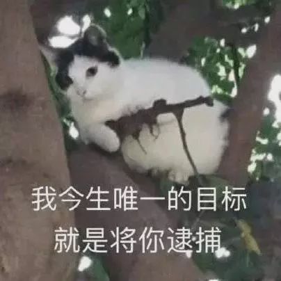 学美留学怎样,学美教育留学