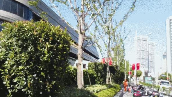 为祖国庆生为祖国敬礼,为祖国庆生红旗飘扬