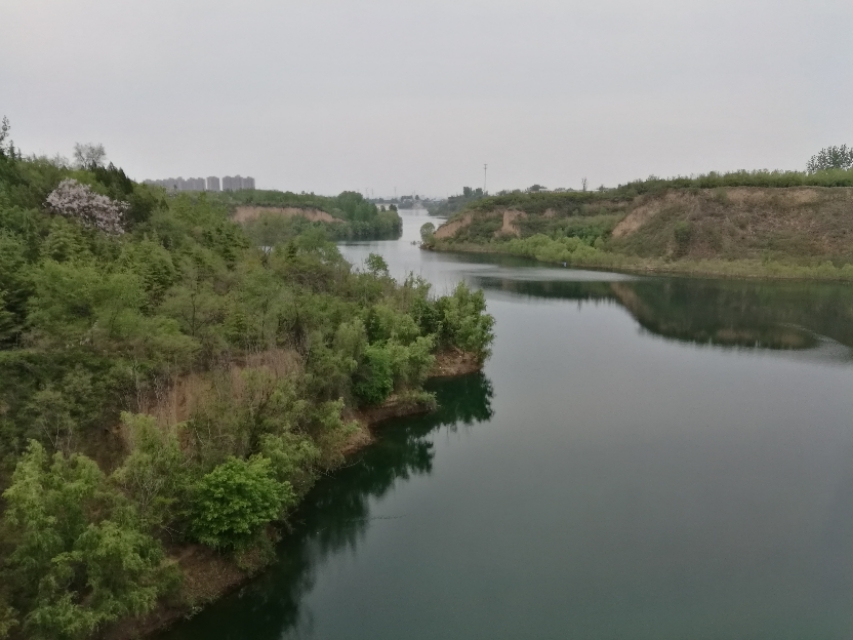 郑州树木园最新视频,郑州树木园现状