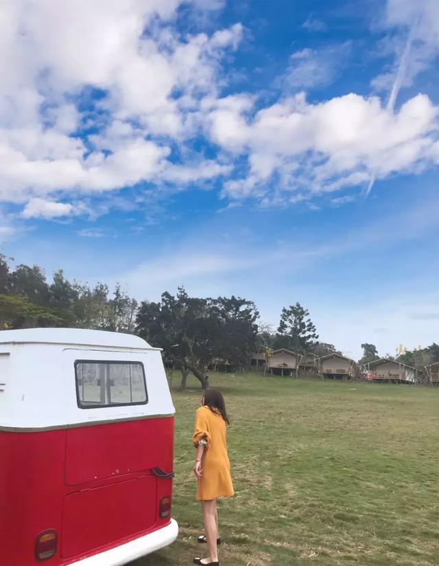 济州岛旅游值得去的地方,旅游胜地济州岛