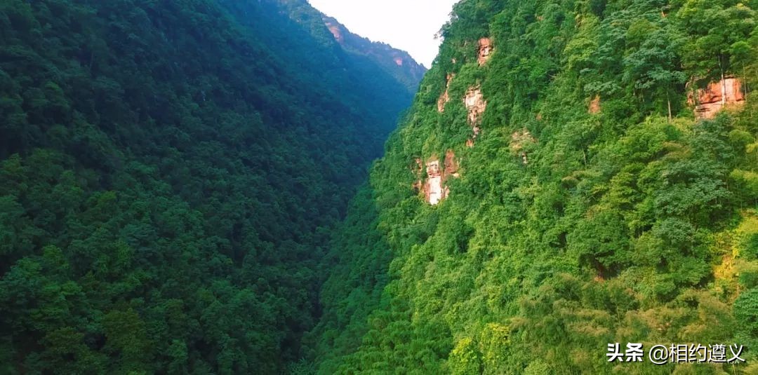 赤水大瀑布 侏罗纪公园 (世界唯一保留的侏罗纪原始公园)