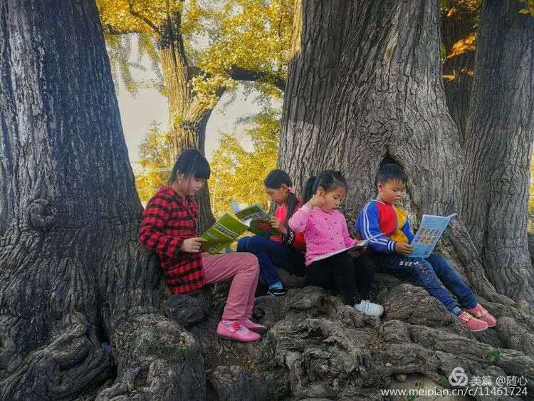 河南鲁山周边游,河南玩美旅行