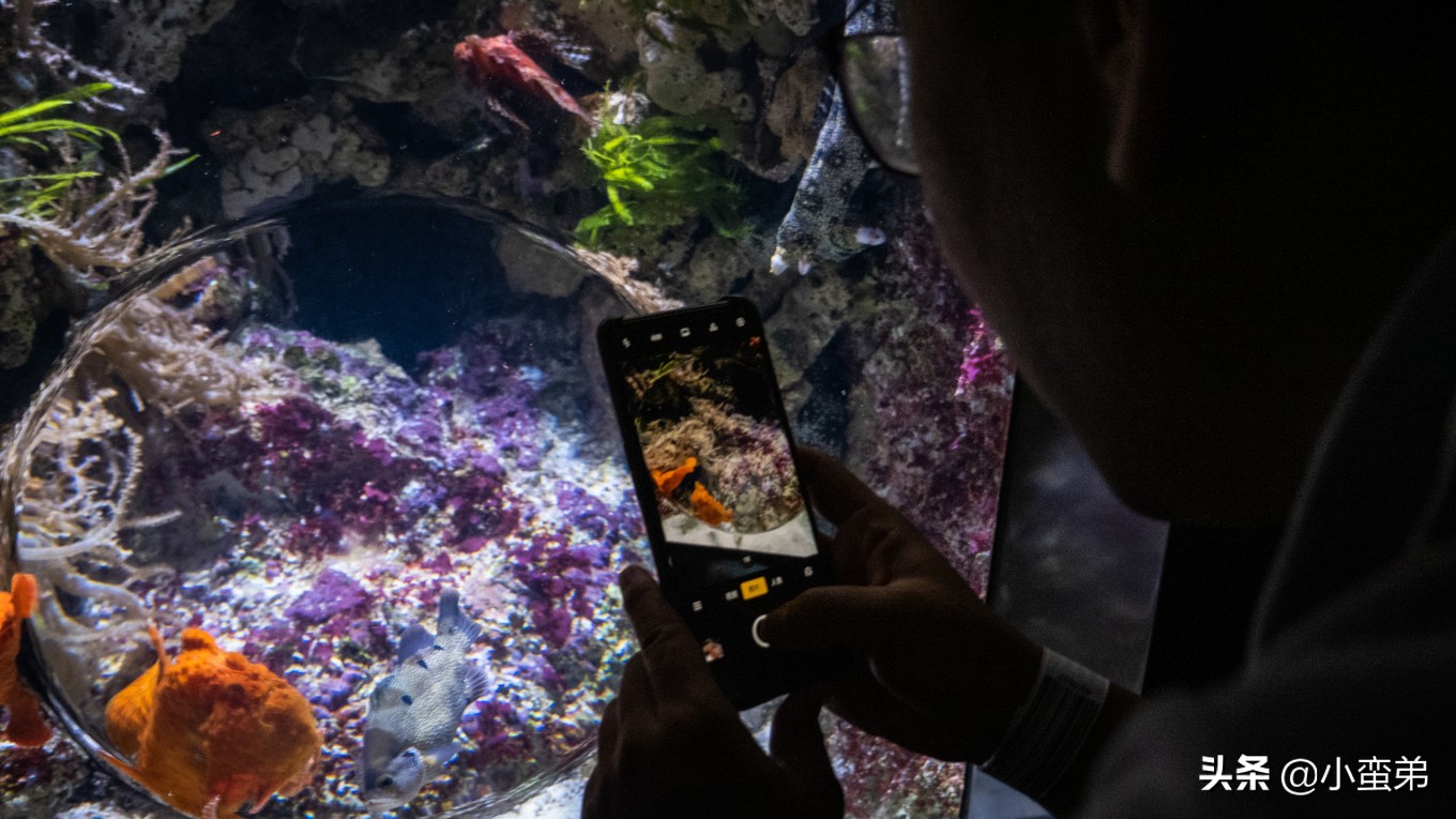 5年之许，小白逆袭重返新加坡