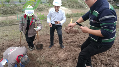 重庆白蚁防治,重庆白蚁防治所是免费的吗