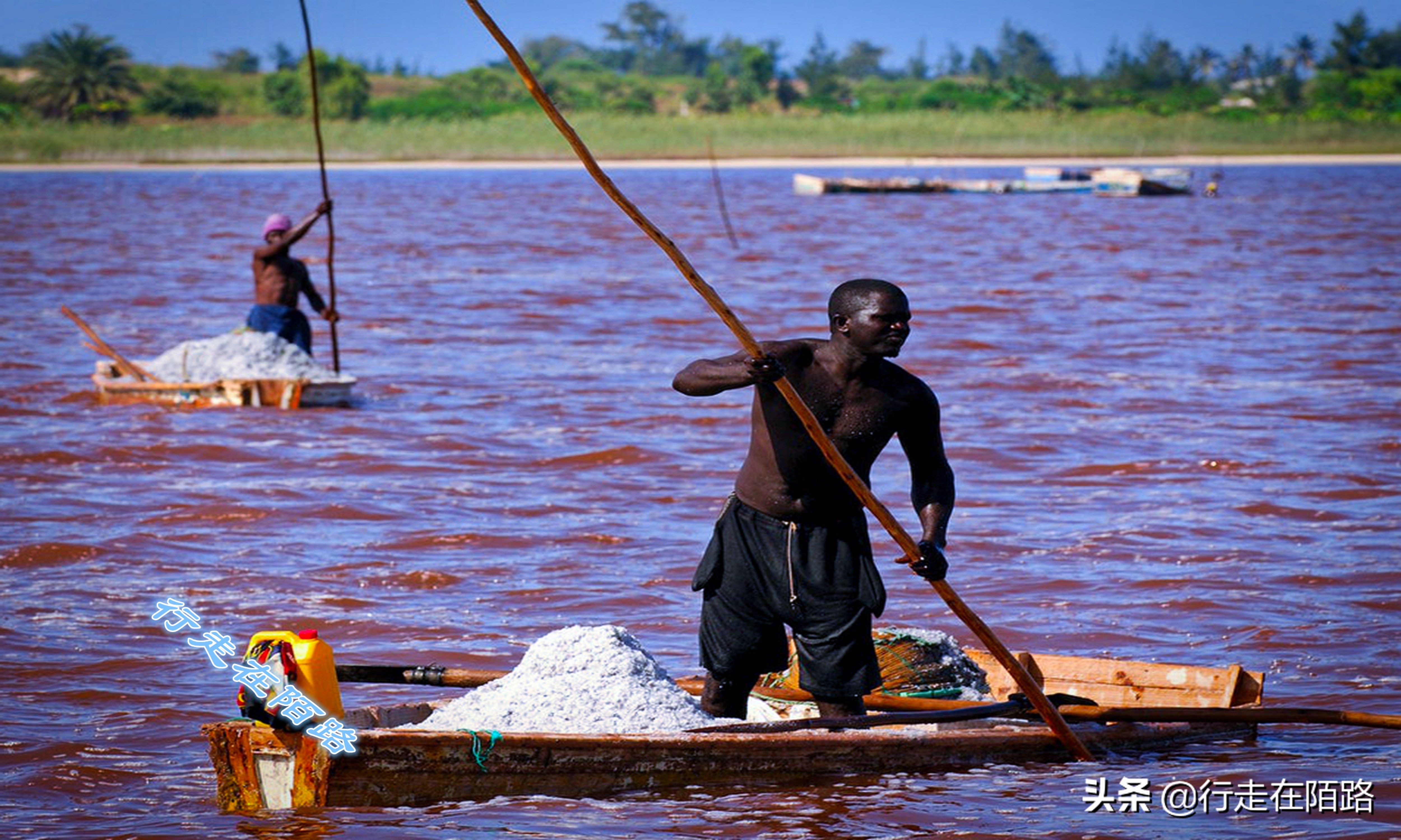 非洲死海：湖深一米采盐直接捞，每升湖水含盐380克