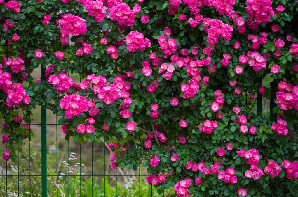 西安公园24小时开放,西安免费儿童玩的公园