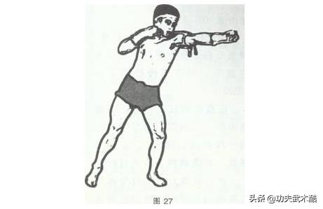古泰拳必杀技断象拔,古泰拳20招口诀