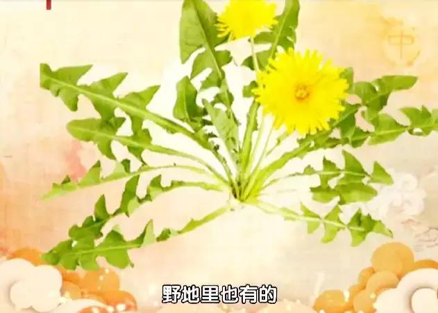 行医59年81岁老中医,一女子胃癌喝中药治好了