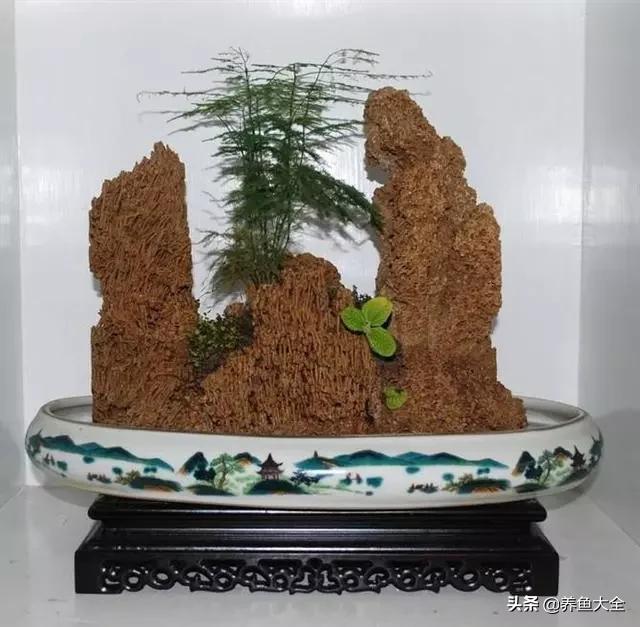 上水石盆景制作方法是什么,上水石盆景制作视频教程完整版